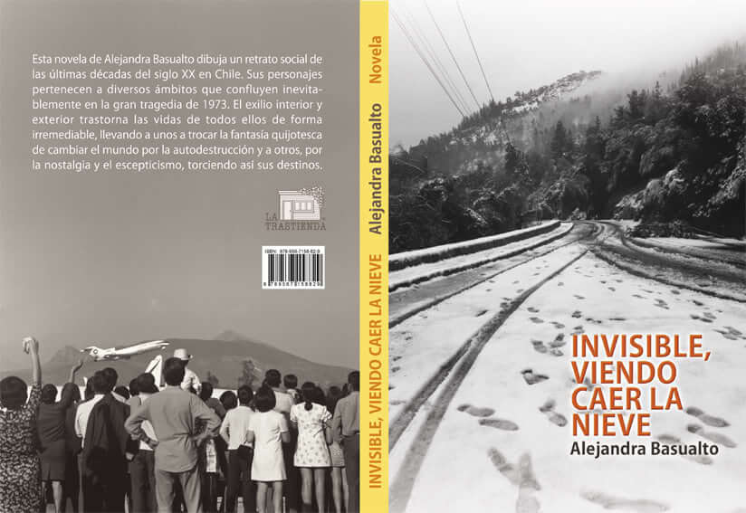 Invisible, viendo caer la nieve, de Alejandra Basualto