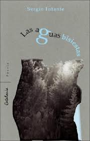 Las Aguas Bisiestas (El alarido final)