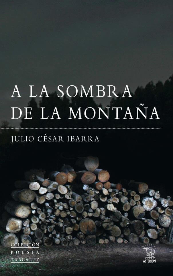 A la sombra de la poesía