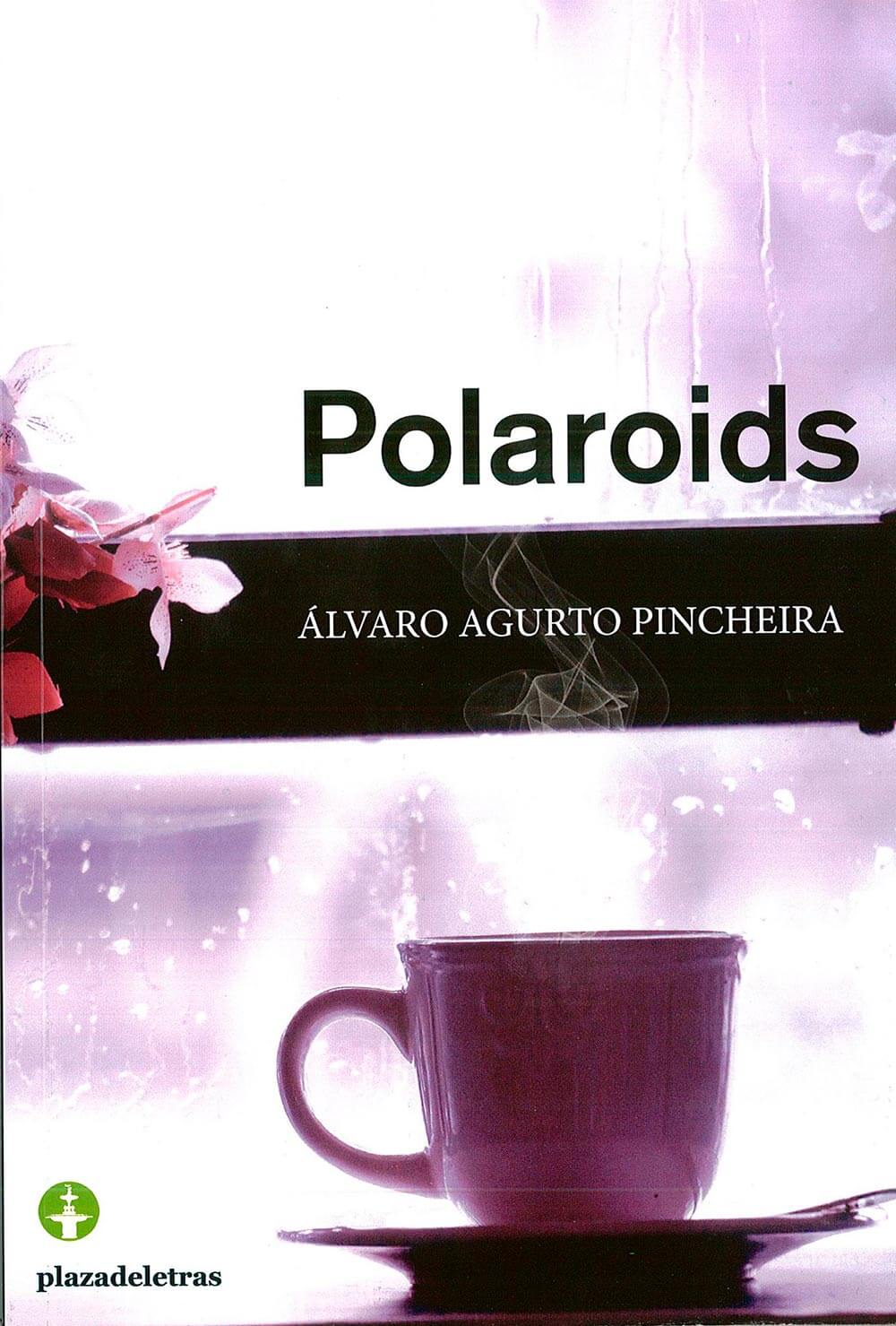 “Polaroids”, de Álvaro Agurto Pincheira: El decantar de la intuición