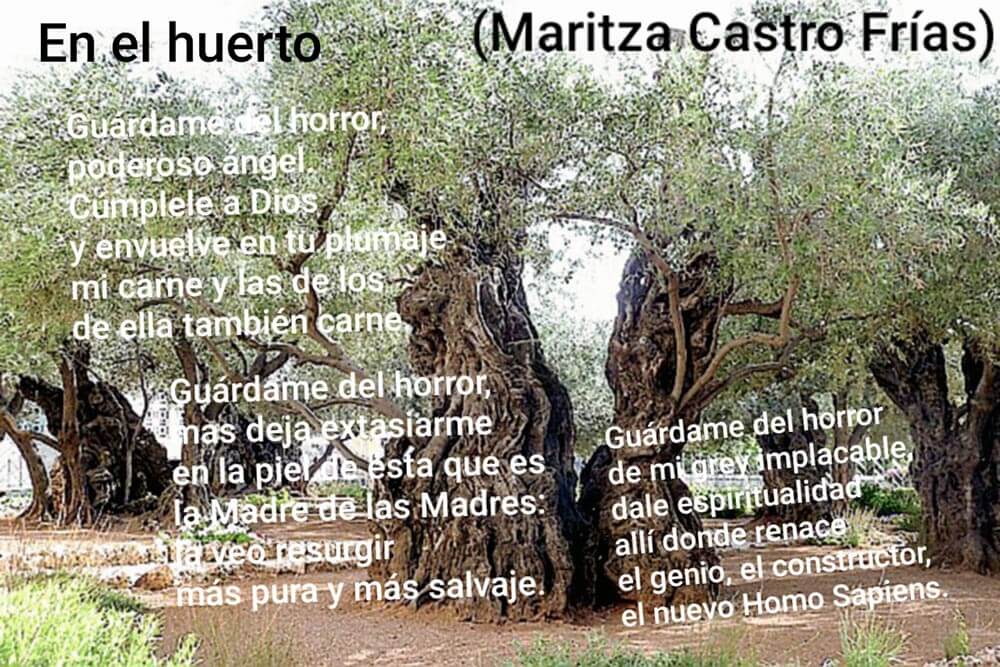 m castro el huerto