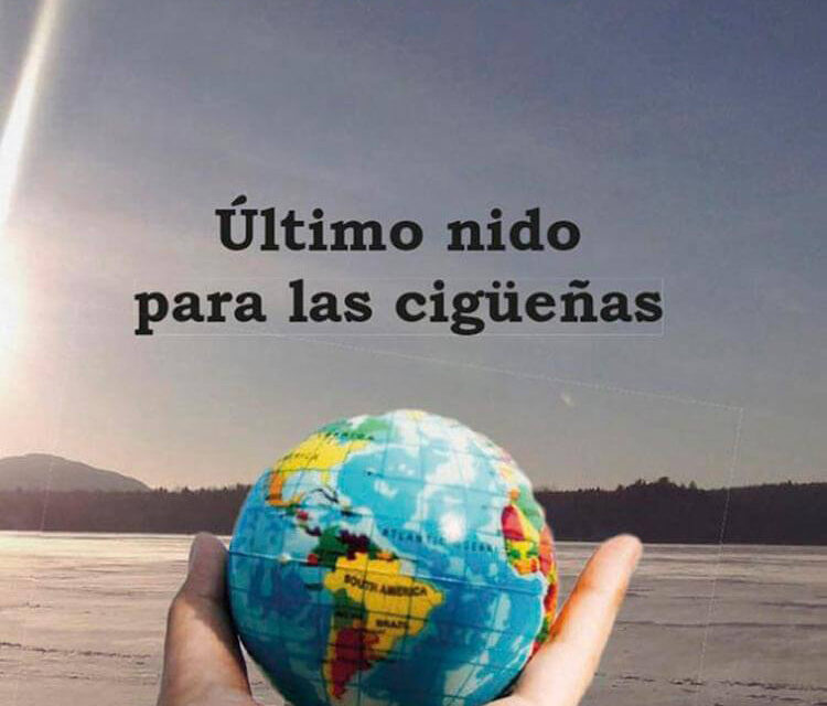 “Último nido para las cigüeñas”