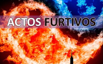 Actos Furtivos, de Rubén González Lefno