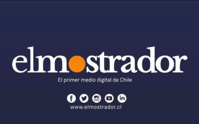 Sesenta publicaciones fruto de la colaboración de Letras de Chile con El Mostrador