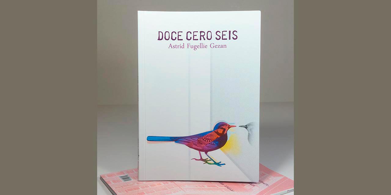 Reseña de libro de poemas de Astrid Fugellie Gezan