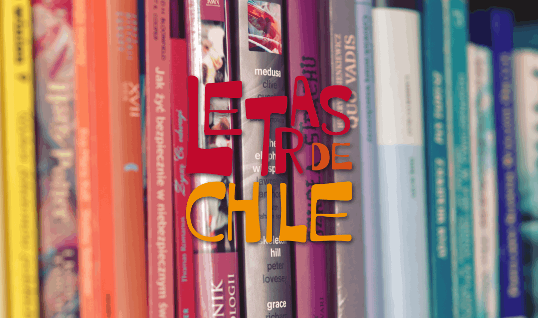 Bibliotecas, libros y memorias: una urgencia en el mundo de la cultura