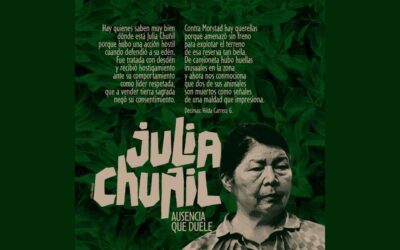 Recordando a Julia Chuñil Catricura: