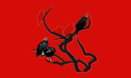 EL ESCRITOR COMO ESPECTADOR DE SU PROPIA OBRA A TRAVÉS DE UNA VIVENCIA IMAGINADA (FANTASEADA)