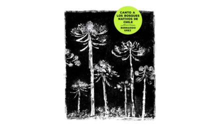 ELOGIO A LA CONTEMPLACIÓN