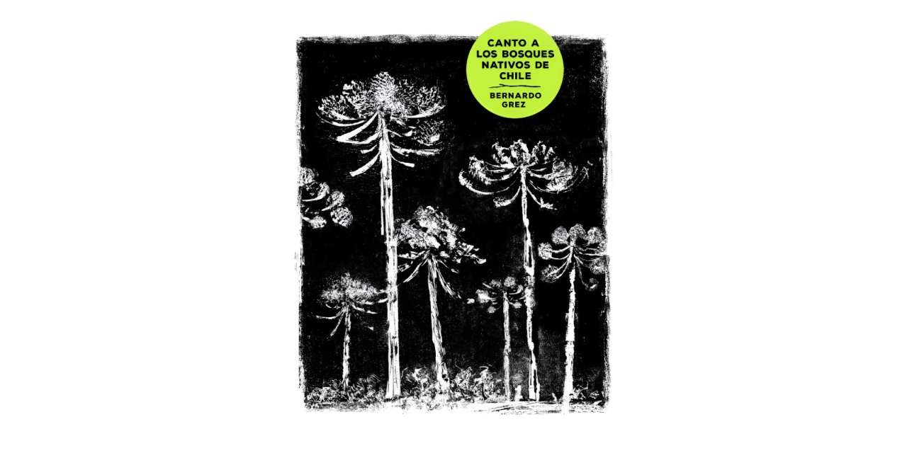 ELOGIO A LA CONTEMPLACIÓN