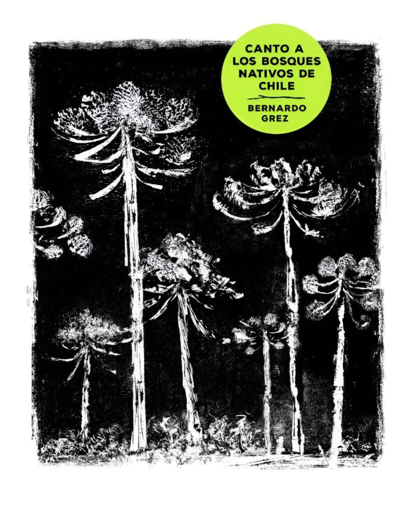 Canto a los bosques nativos de Chile, de Bernardo Grez
