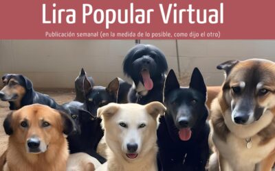 VIDA DE PERROS