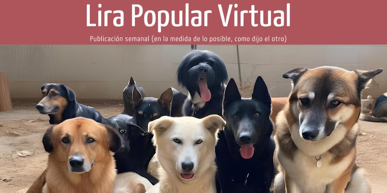 VIDA DE PERROS
