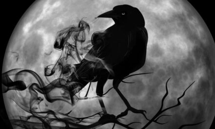 UN CUERVO EN LA VENTANA