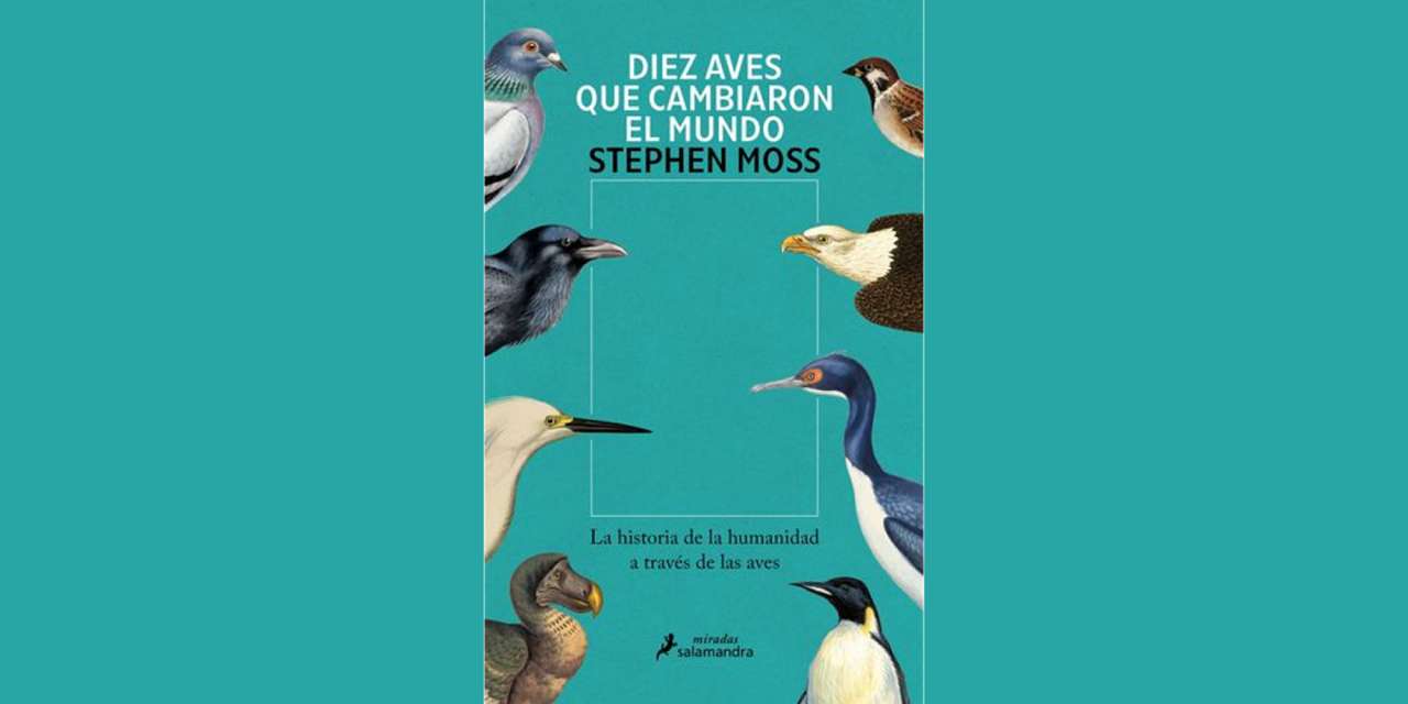 DIEZ AVES QUE CAMBIARON EL MUNDO
