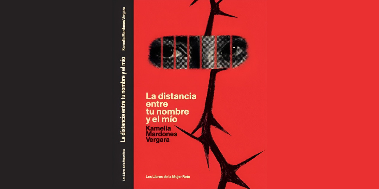 UNA NUEVA COLABORACIÓN DE KAMELIA MARDONES VERGARA (1991)