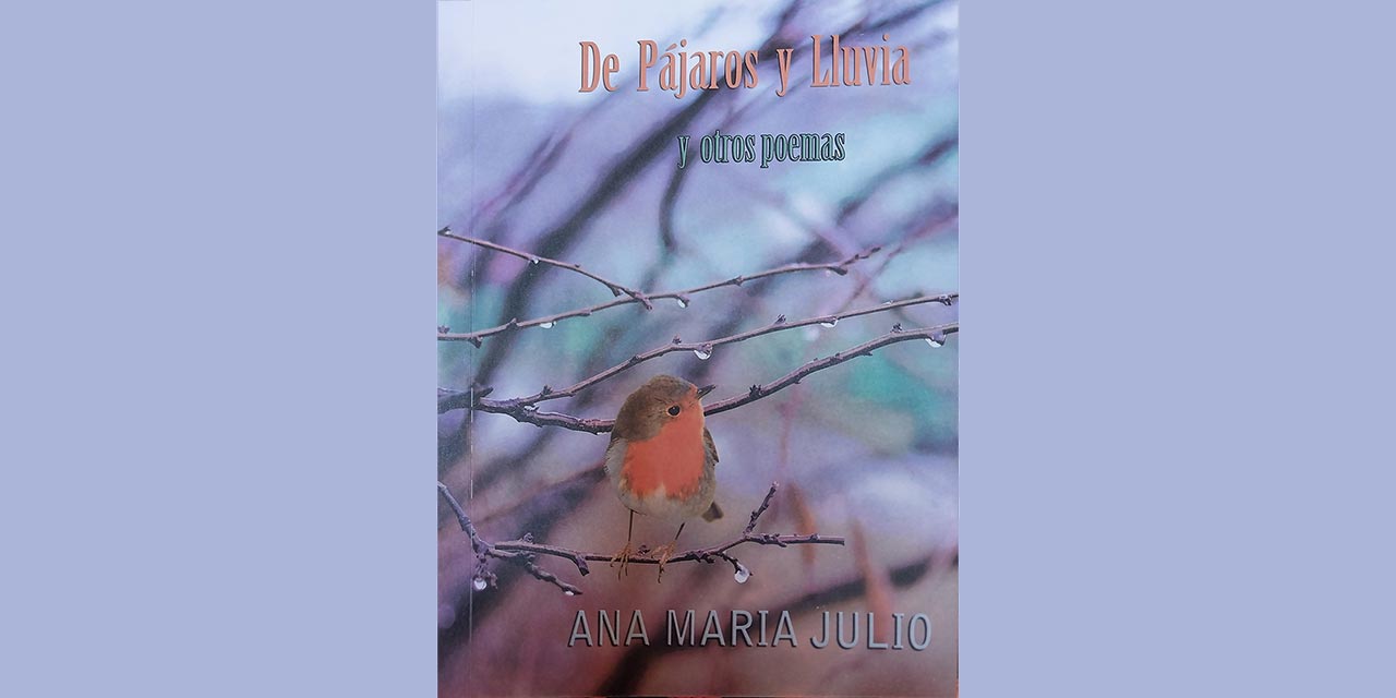 DE PÁJAROS Y LLUVIA Y OTROS POEMAS DE ANA MARÍA JULIO