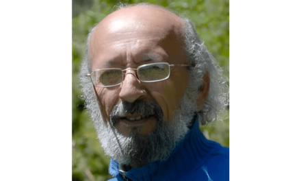 METZDORFF: NAVEGAR POR SU LIBRE POESÍA
